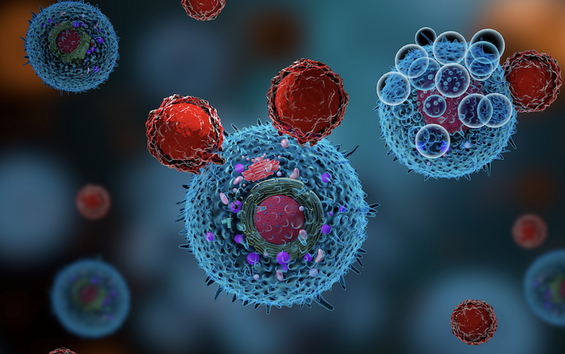 FDA Greenlights New Triple Therapy For Relapsed Follicular Lymphoma