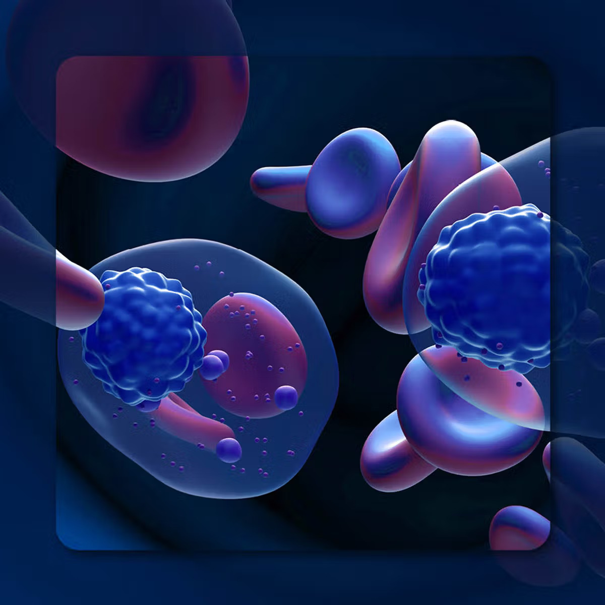 FDA Grants Fast-Track Approval to Linvoseltamab-GCPT for Advanced Multiple Myeloma