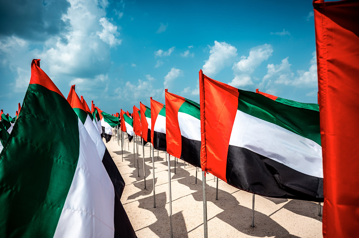 Pharmacovigilance Requirements in the UAE