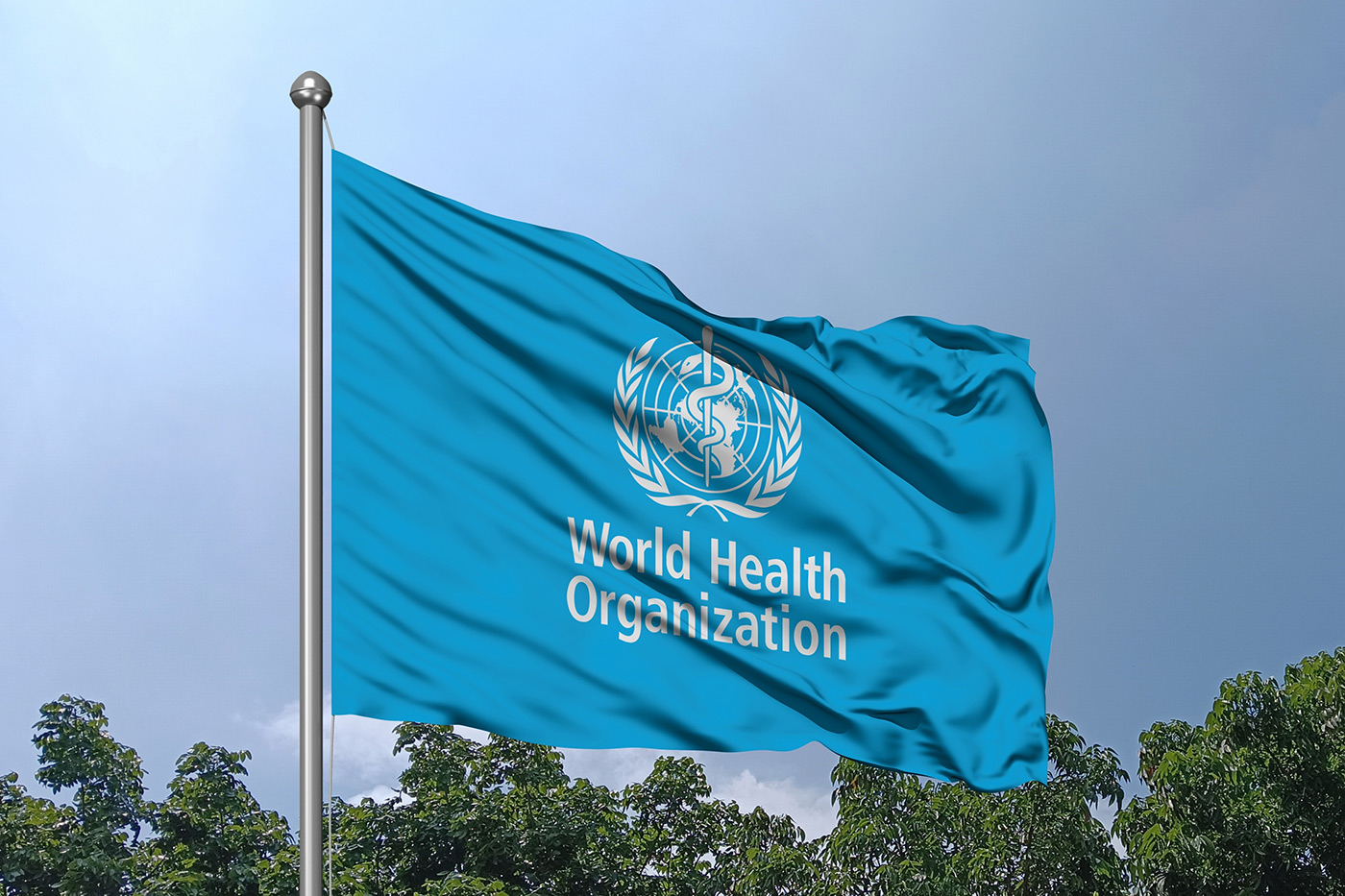Saudi Arabia Joins WHO's Global Drug Safety Hub