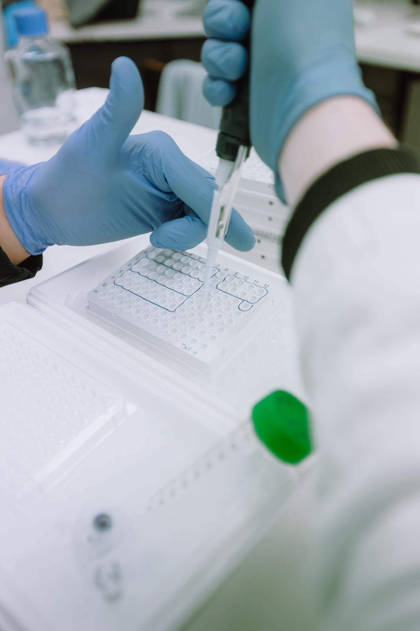 Update on Analytical Testing and Labelling Declaration Requirements for Products Containing Animal-Derived Materials
