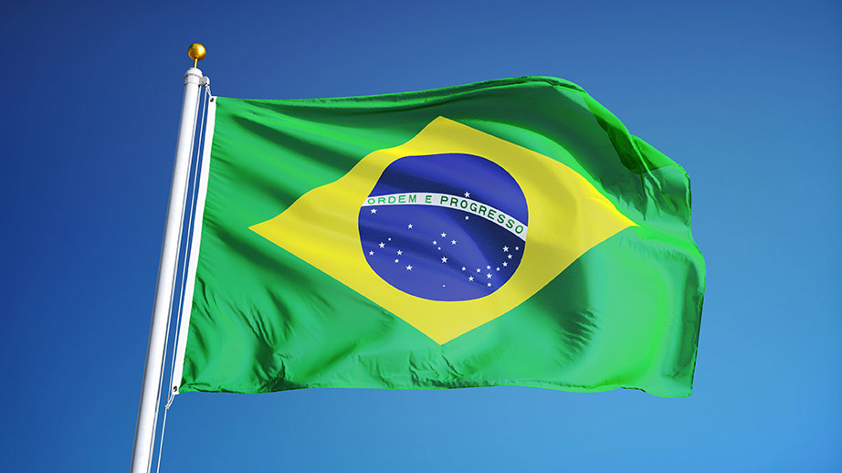 Pharmacovigilance Requirements in Brazil